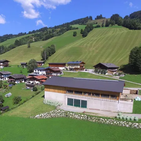 Bichlblick Apartment Viehhofen